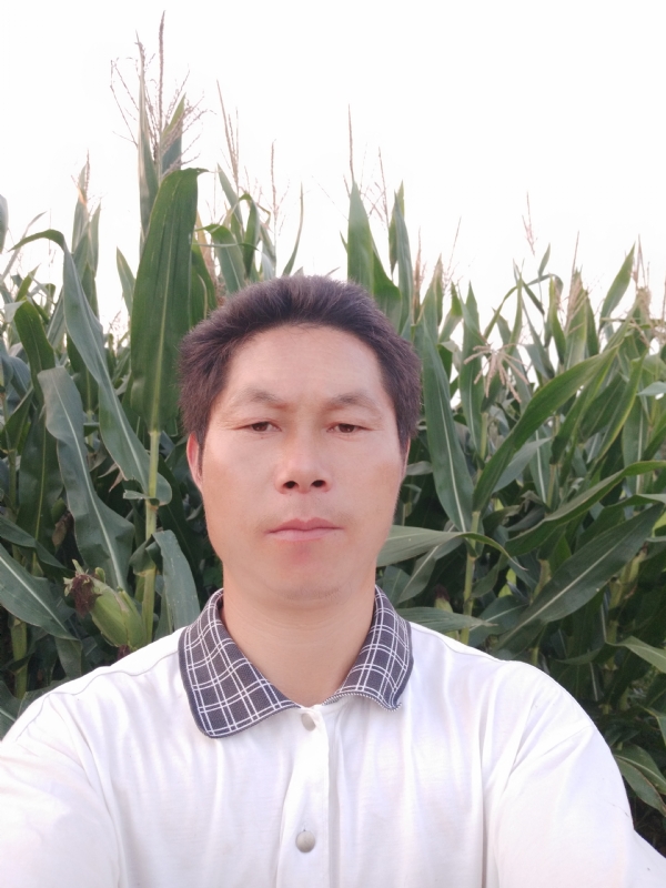 四海游龙的第一张照片--长沙相亲服务中心