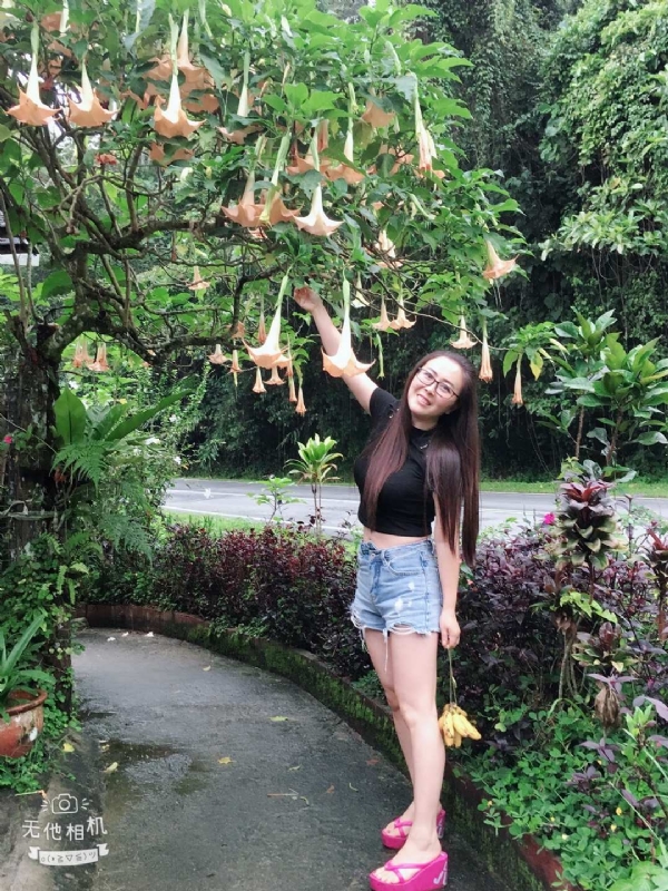 离异单身无子的第二张照片--长沙相亲服务中心