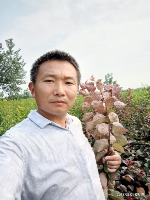 孩子爸的第二张照片--长沙相亲服务中心
