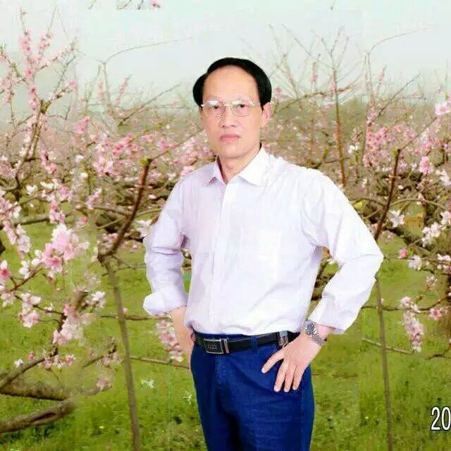 枫叶的第一张照片--长沙相亲服务中心